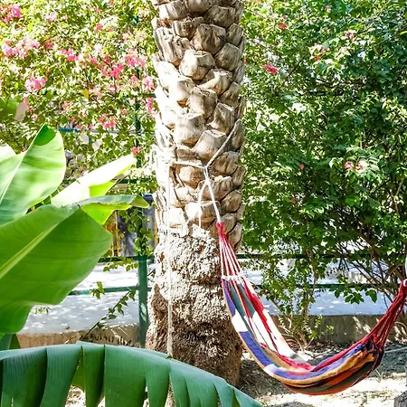 Nature House Al Hamra Exterior photo