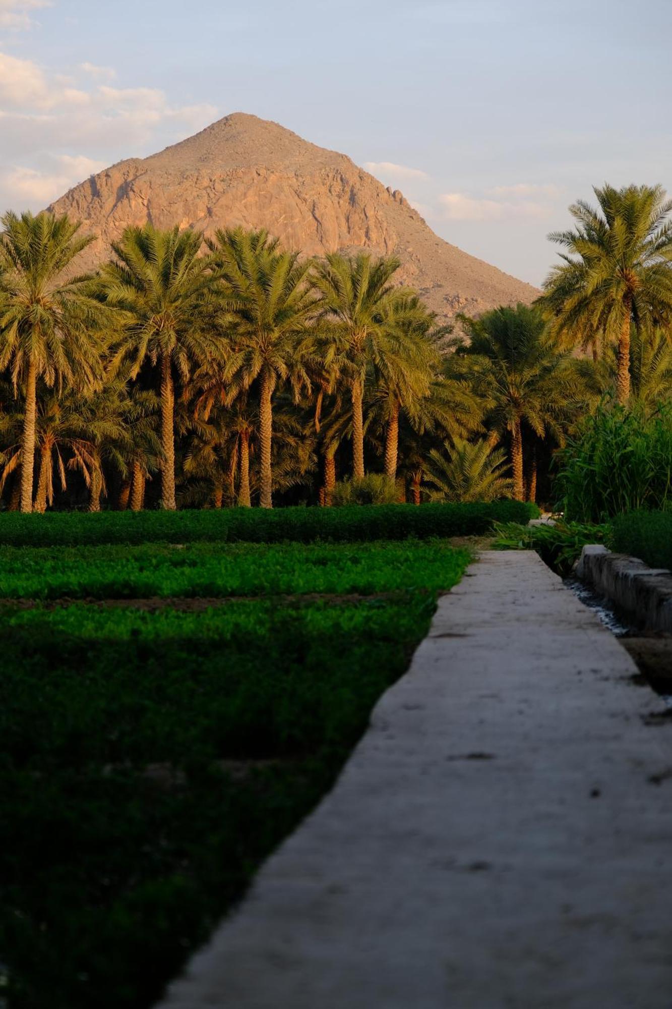Nature House Al Hamra