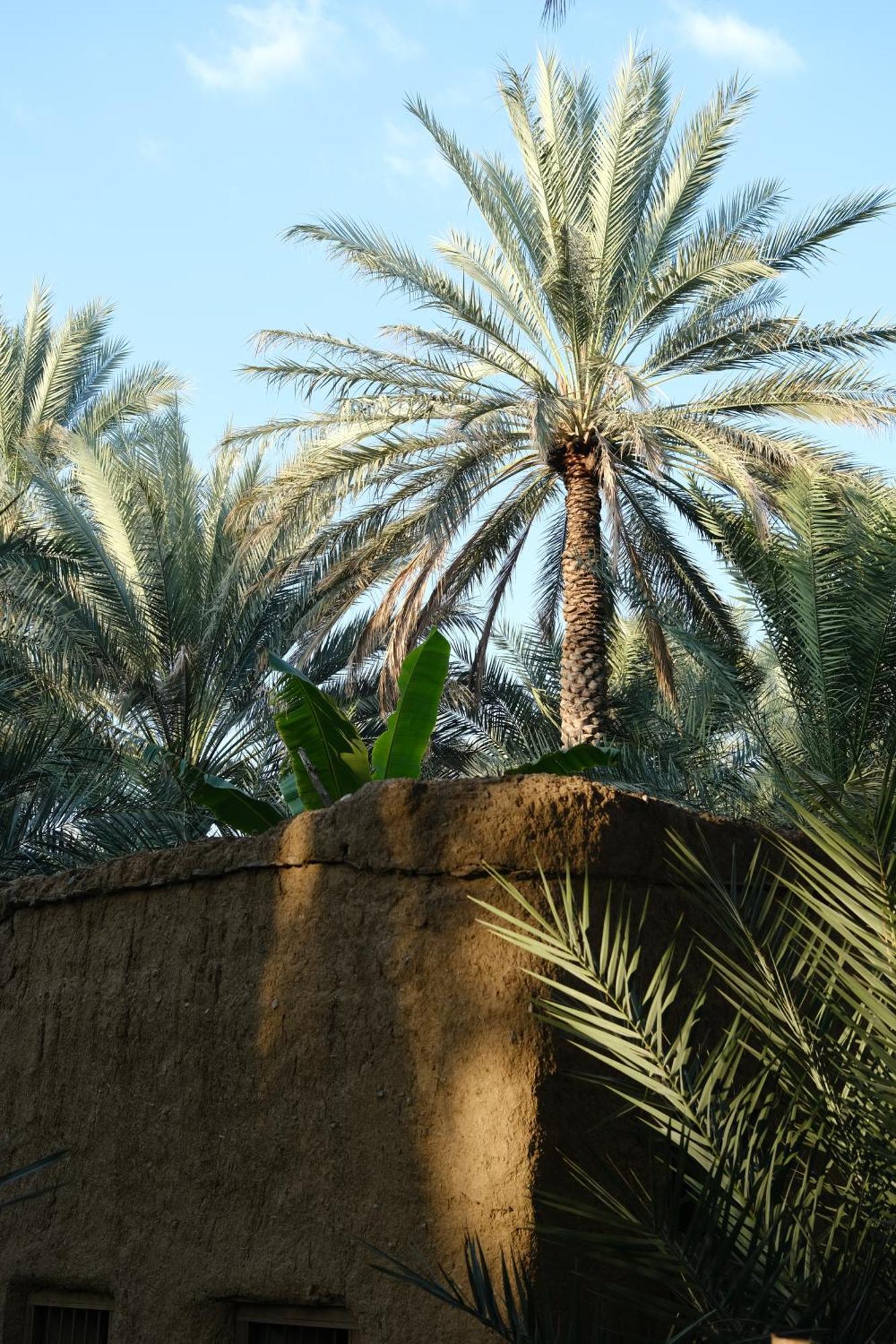 Nature House Holiday home Al Hamra
