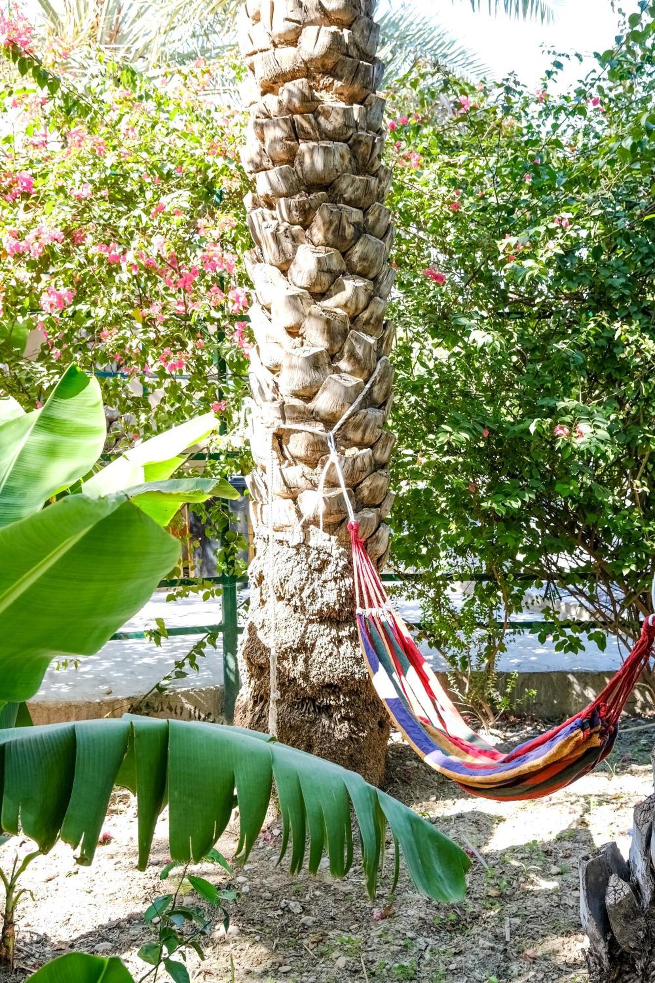 Nature House * Al Hamra