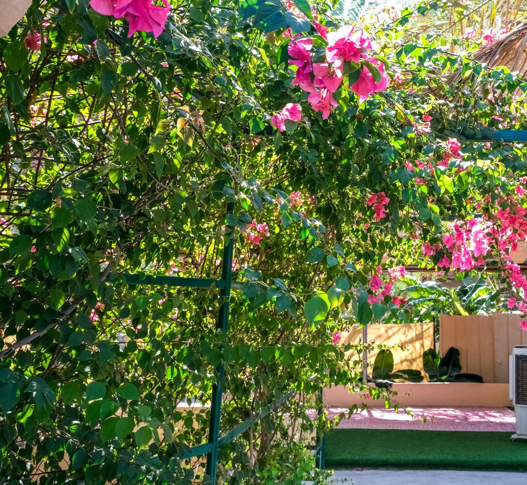 Nature House Holiday home Al Hamra