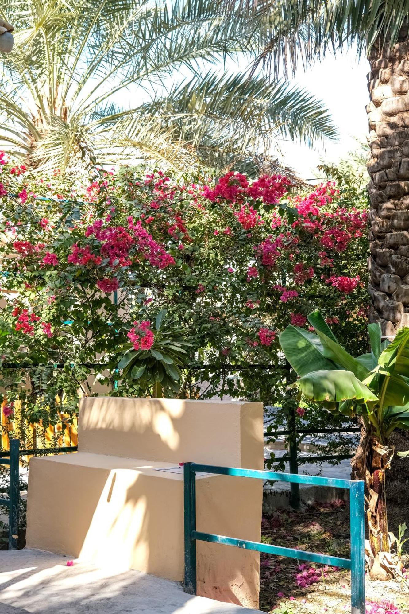Nature House Al Hamra