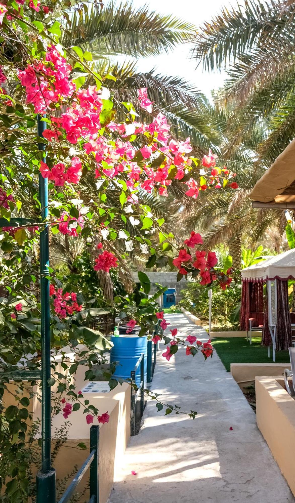 Holiday home Nature House *